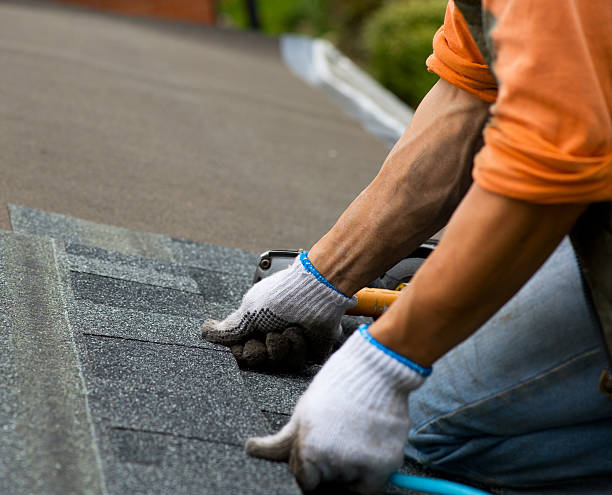 Quick and Trustworthy Emergency Roof Repair Services in Fountainebleau, FL